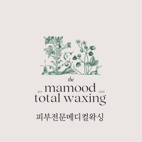 마무드토탈왁싱